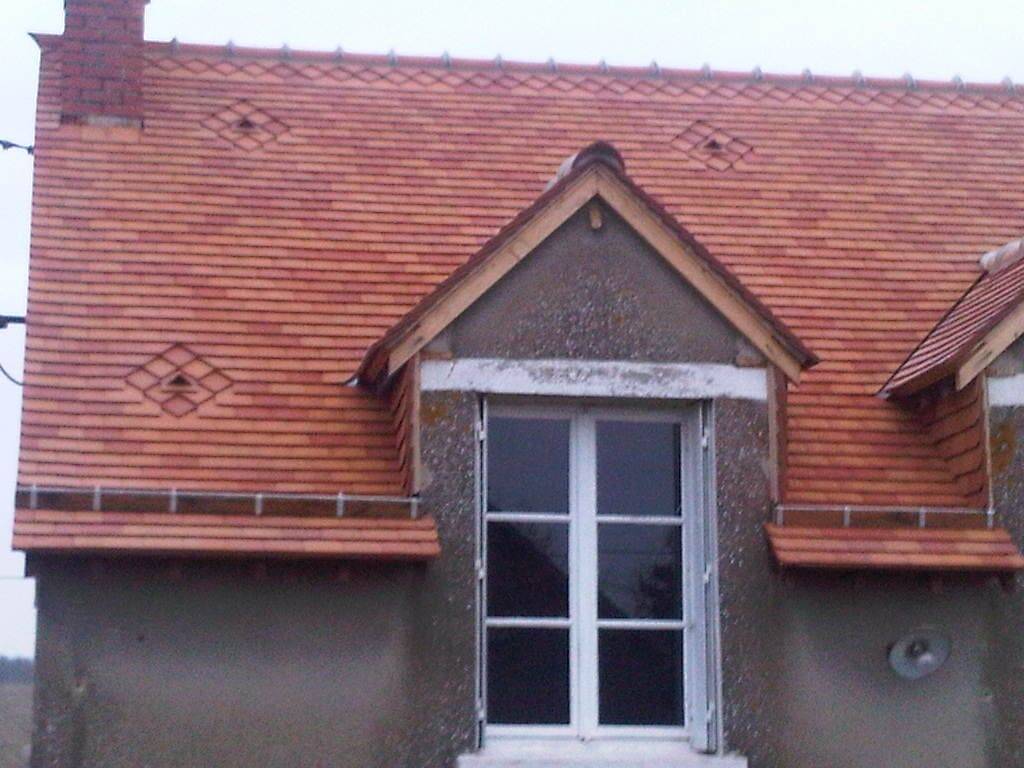 IMG00033-20110105-0854.jpg